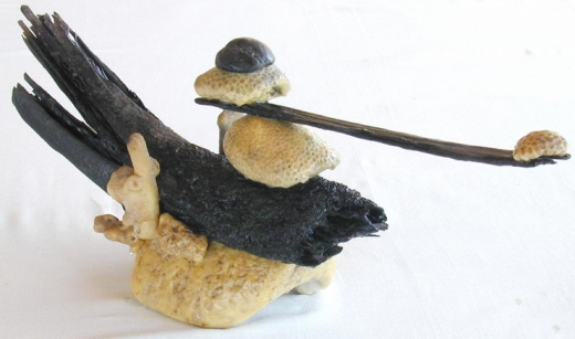 Canard de l'hyperespace