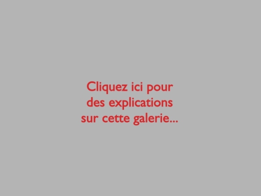 galerie-article