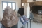 Beajou visite 13